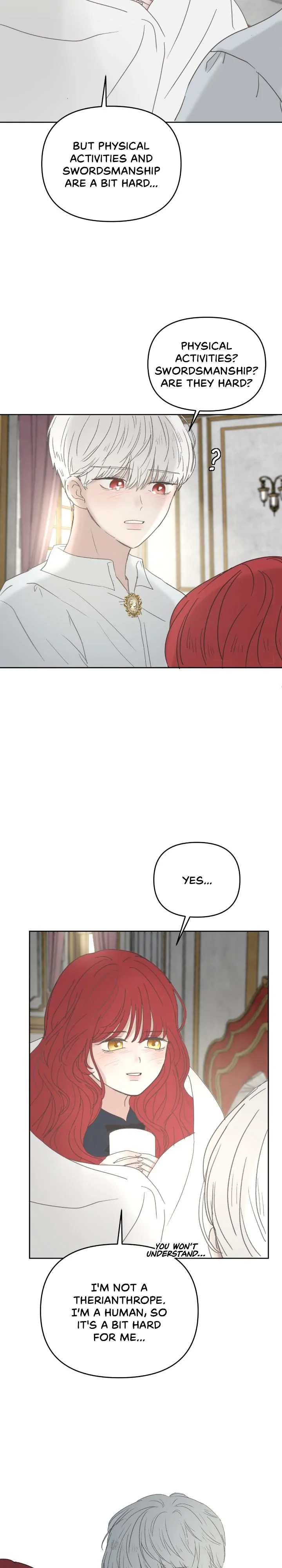 52823324 720 4000 115134