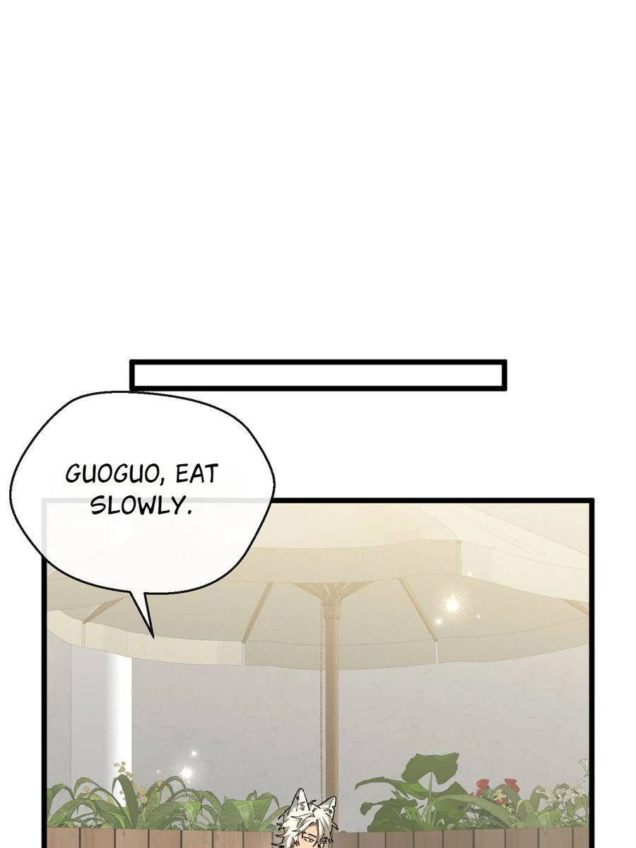 88291180 900 1200 48200